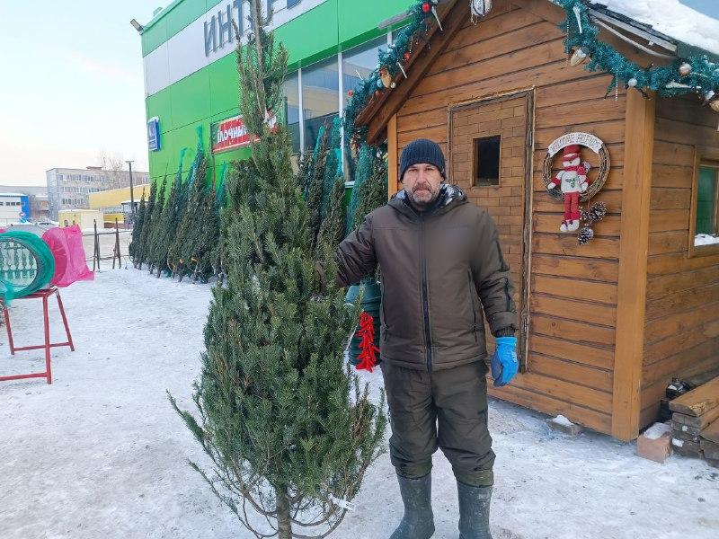 Фото Журналист сравнил цены на елочных базарах Новосибирска 2